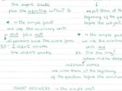 negative sentences Past Simple