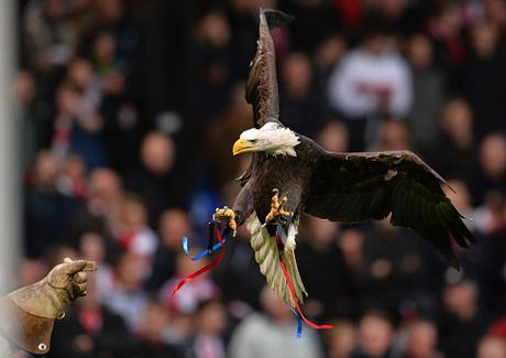 Premier League, il Crystal Palace sogna in grande: soldi freschi dagli USA