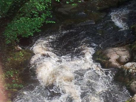 trip to sally gap