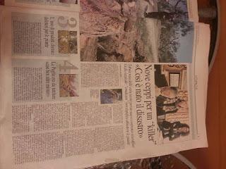 Xylella 20 dicembre 2015