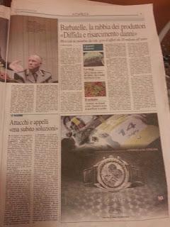 Xylella 20 dicembre 2015