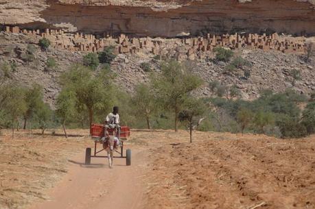 Teli, Mali (10)