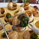 800px-Escargots_lumache