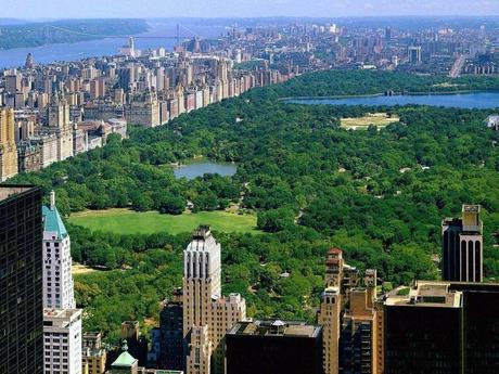 New York, New York New York, New York