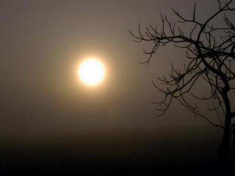 Poesie di Mario Benedetti VII – Hombre que mira a través de la niebla / Uomo che guarda attraverso la nebbia