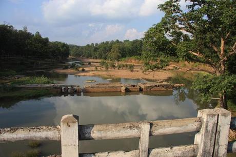 Reportage: i paradisi naturali dell’India