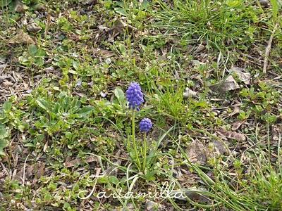 Respiriamo la primavera!!