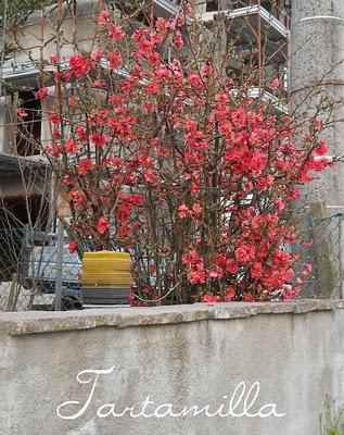 Respiriamo la primavera!!