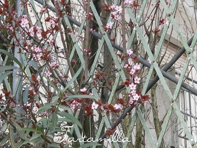 Respiriamo la primavera!!