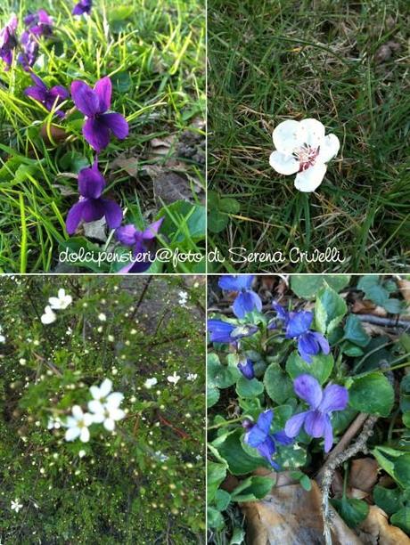 Ho appena finito di leggere… al primo sole di primavera!