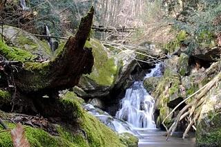 Valle Intrasca, Il mulino abbandonato