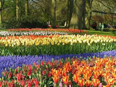Viaggi di primavera: i giardini di tulipani di Keukenhof in Olanda