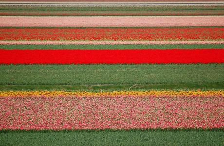 Viaggi di primavera: i giardini di tulipani di Keukenhof in Olanda