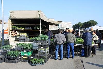 sabato dell'orto, la serra per i pomodori