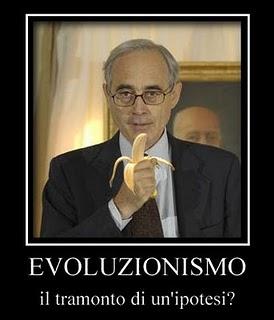 Un cattolico non può evolversi