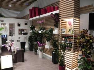 Gli amici Fb di DeDi: storie di lavoro e successo in Campania