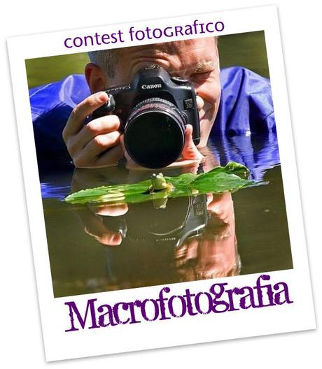 Contest Fotografico: Macrofotografia
