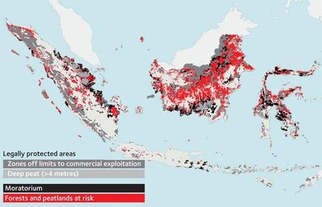 Indonesia: la moratoria fa acqua