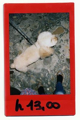 UNA FOTO ALL'ORA (a photo an our) • Fuji Instax Mini 25