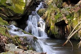 Valle Intrasca, il torrente Niva