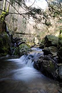 Valle Intrasca, il torrente Niva