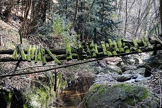 Valle Intrasca, il torrente Niva