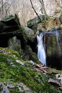 Valle Intrasca, il torrente Niva