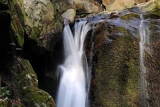 Valle Intrasca, il torrente Niva