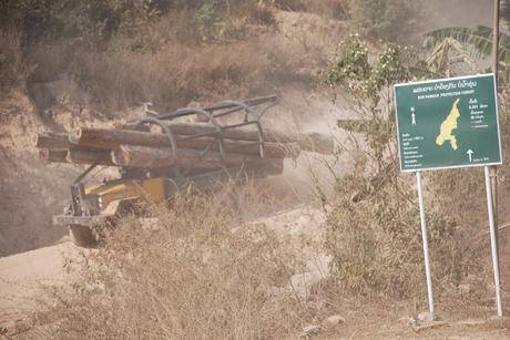 Laos : una strada minaccia 'ultimo habitat della tigre