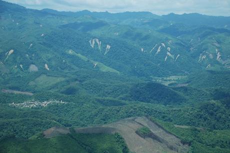 Laos : una strada minaccia 'ultimo habitat della tigre