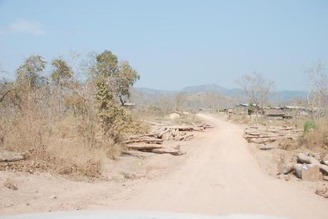 Laos : una strada minaccia 'ultimo habitat della tigre