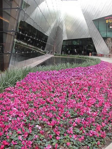 Las Vegas Flowers