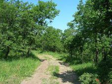 La rivoluzione secondo Bianciardi: “Tutto ciò che ruota, articola, scivola, incastra, ingrana e sollecita sarà abbandonato”