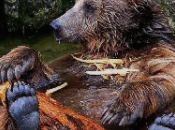 Storia ordinario specismo