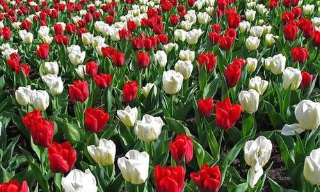 150 anniversario unità italia