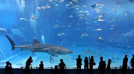 Acquario Barcellona