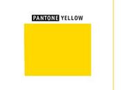 passion yellow