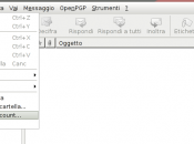 Tips’nTricks: Thunderbird/IceDove posta arrivo vari account