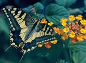 Ragazzi, studiate, meglio