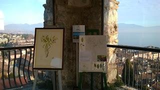 MASTIO DEL CASTELLO DI DESENZANO - Presentazione e mostra fotografica del libro Oasi San Francesco