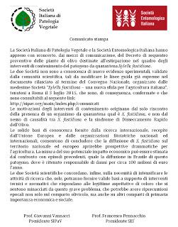 Xylella Comunicato Stampa della Società italiana di patologia vegetale e della Società entomologica italiana