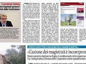 Xylella dicembre 2015