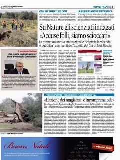 Xylella 23 dicembre 2015