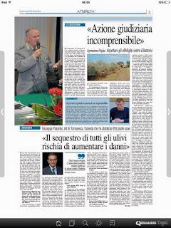 Xylella 23 dicembre 2015