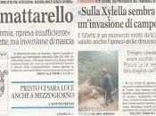 Xylella dicembre 2015