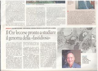 Xylella 22 dicembre 2015