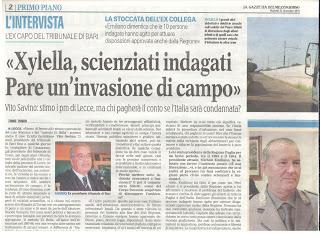 Xylella 22 dicembre 2015