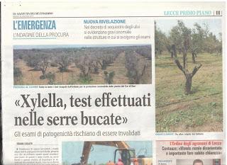 Xylella 22 dicembre 2015