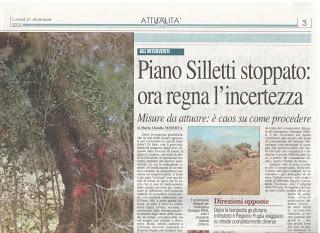 Xylella 21 dicembre 2015