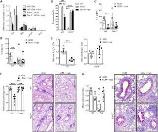 Infezioni coi vermi _ specie tipo Elminti_ aiutano il sistema immunitario dell'ospite